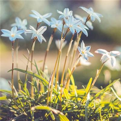 北单足球比赛结果sp值