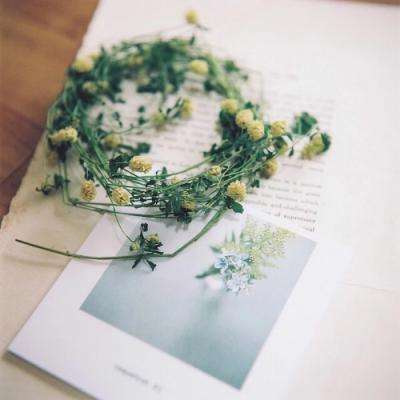 welcome 彩神8的最新网址